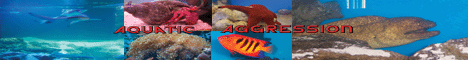 Aquatic Aggression