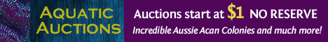Aquatic Auction