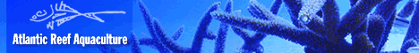 Atlantic Reef Aquaculture