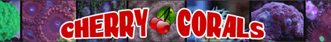 Cherry Corals