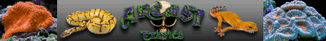 Area 51 Exotics