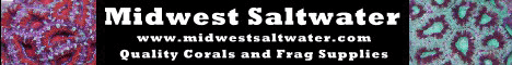 midwestsaltwater.com