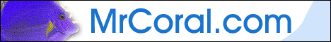 Mr Coral