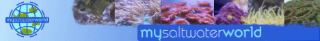 My Saltwater World