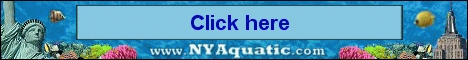 NYAquatic