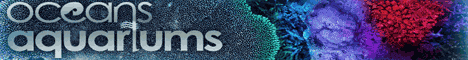 Oceans Aquariums