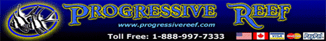 Progresssive Reef