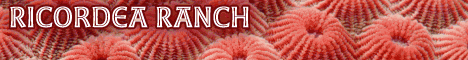 Ricordea Ranch