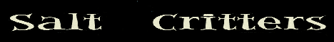 saltcritters.com