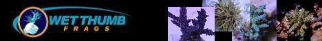 wetthumbfrags.com