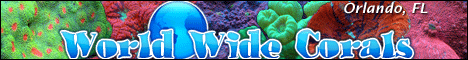worldwidecorals.com