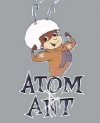 aa4 atom5.jpg