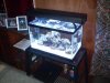 PC150087.JPG