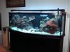155 reef items for sale 014 (WinCE).jpg