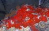 DSCN0134.JPG