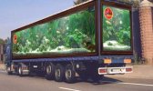 Aquarium Truck copy.jpg