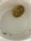 IMG_0558.jpg