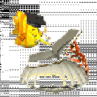 ReefLady