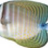 isakmp
