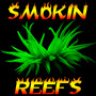 Smokin Reefs