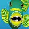 Triggerfish