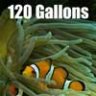 120gallons
