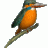 DaBird