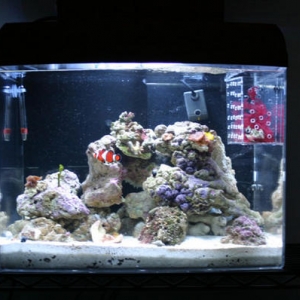 My Nano