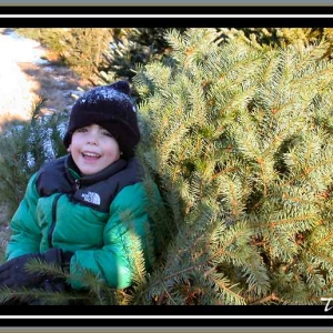 Erik with the freshly cut tree