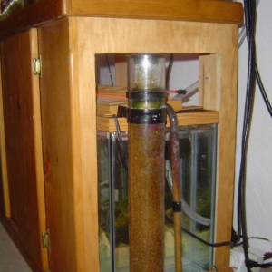 DIY Sump/Refugium