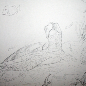 Turtle Step 1 Detail