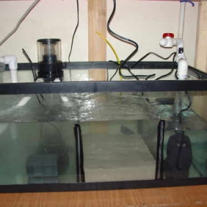 DIYed 40 breeder Sump