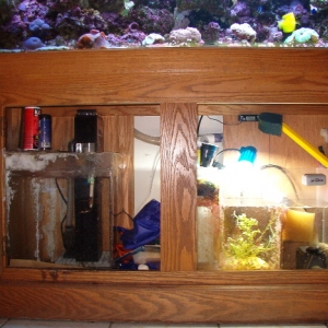 Sump/Refugium