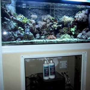 tank with sump cover removed