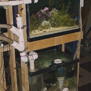 Refugium & Pre-Filter