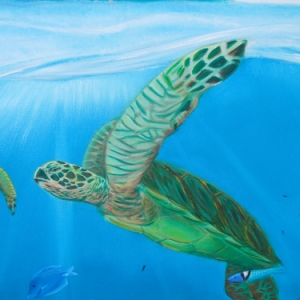 Turtle-Step-5g-Detail