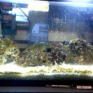 10G Nano on 4/9/04