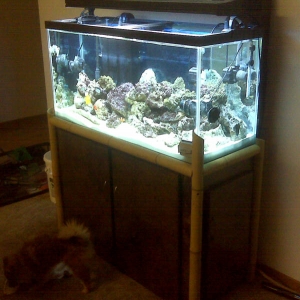 FTS
