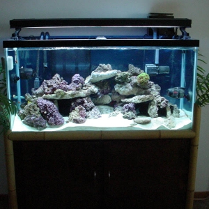 FTS 4/08