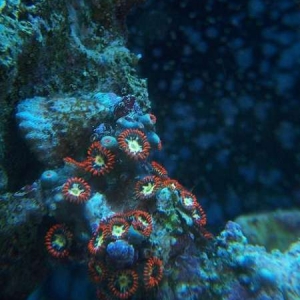 100_4734_800x600_