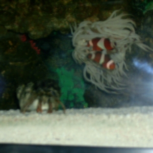 new home