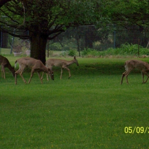 outside the front door