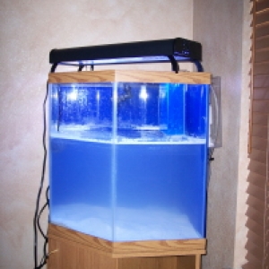 44 gallon