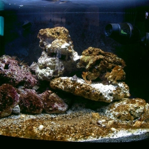 Full_Tank_Shot_11