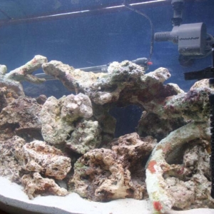 46 Gal Bowfront