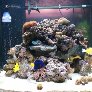 150 Gallon Front