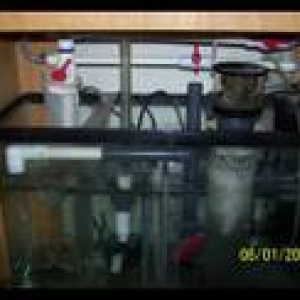 th_reefcentralpics010