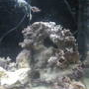 th_IMG_0013