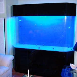 350 gallon tenecor all acrylic reef aquarium (New Setup)