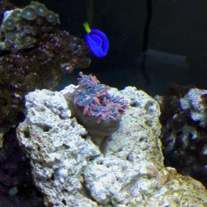 Help Whats Wrong?